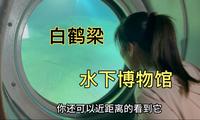 重庆涪陵，乘电梯直达长江水下40米，探访中国第一座水下博物馆，白鹤梁