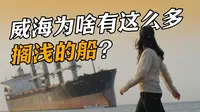 威海竟然有一群“布鲁威斯号”？