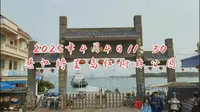 2025年4月4日湛江特呈岛之红树林