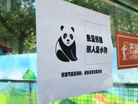 淄博动物园的顶级“阳谋”，这“熊猫”怎么长得狗里狗气的。“你就说快乐是不是真的吧”。