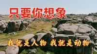 2024年8月17日，我们前往吉木乃县的草原石城参观。路上和刚进入景区，先后巧遇车友，有缘、有缘！进入景区，发挥想象力，你就走进了“人物的世界”、“动物的海洋”