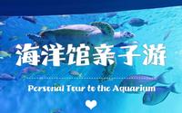 福州永泰欧乐堡 | 95后一家三口海洋馆亲子游