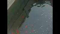 泰安虎山公园