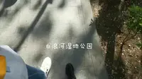 潍坊白浪河湿地公园
