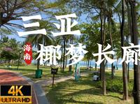 [杜比世界] “海南”漫步三亚 椰梦长廊 十里椰廊绵绵细沙海滩 丨云旅游 现场音 POV丨