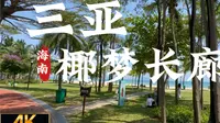 [杜比世界] “海南”漫步三亚 椰梦长廊 十里椰廊绵绵细沙海滩 丨云旅游 现场音 POV丨