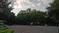 贵港市马草江生态公园随拍92。