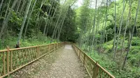 打鼓岭爬山