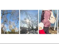 春游玉渊潭公园