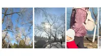 春游玉渊潭公园