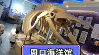 周口海洋馆