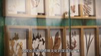 摄影课程结课作品 | 重庆市永川区博物馆宣传片 文物新语