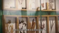 摄影课程结课作品 | 重庆市永川区博物馆宣传片 文物新语