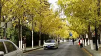 嘉兴三塔公园