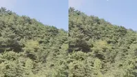 六安市天堂寨一游