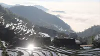 【景色实在太美了•四季多变•紫鹊界】梯田 云海 旭日 自驾 自然  乡村  山水  自然  田野  大山  瀑布   紫鹊界梯田，景色实在太美了！
