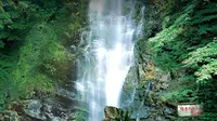 【科普作品】3分钟了解鼎湖山自然保护区