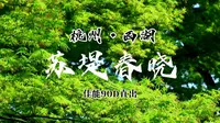 『春江南』•杭州西湖｜苏堤春晓｜听风看水，乘舟揽胜【无文案版】