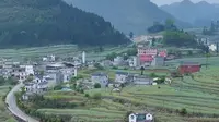 棠梨凹村属云南曲靖罗平县大水井乡，有39户186人，是一个典型的苗族村寨！#云南曲靖 #棠梨凹苗族