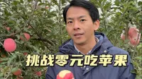 安塞南沟村矮化密植苹果示范园，现摘现吃