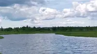 伊春旅游丰林县新青国家湿地公园