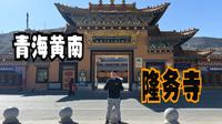 青海黄南州（下）探河湟明珠隆务大寺，感受藏传佛教的建筑之美