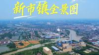 实拍湖州新市镇全景，德清新市古镇的产业是什么