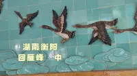 [游园]一泊二日衡阳11.回雁峰·中