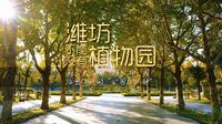 潍坊不能没有植物园！秋天的潍坊植物园，治愈你我的“公园20分钟”