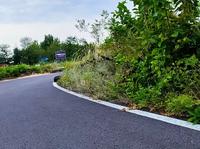 昌黎国际滑沙中心