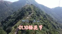 广西宾阳陈平名山，节前踩点，梅花已盛开只等佳人来