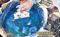 龍龙在湖州：非遗漆扇（南浔古镇）