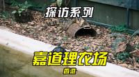 探访系列-香港嘉道理农场暨植物园
