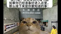 旅行者们，进入先锋书店之前，先看看这个