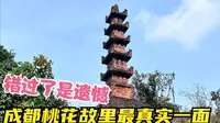 成都桃花故里最真实一面，错过了这些是遗憾，山顶骑龙看奇观