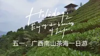 五一，广西昭平“南山茶海”一日游
