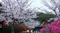 无锡影视基地宣传片1分钟
