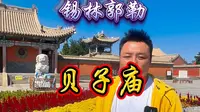 3分钟详解锡林郭勒贝子庙，内蒙四大庙之一#紫圆 #贝子庙#锡林郭勒