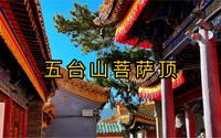 这座汉传建筑风格的寺院却是五台山最大的藏传佛教寺院#菩萨顶#五台山#佛教圣地