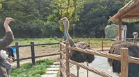 无锡雪浪山龙潭乐园记录