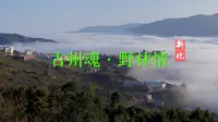 云南新平新化记录宣传片《古州魂·野林情——新化》