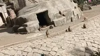 哈尔滨北方森林动物园