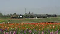 四川省德阳市什邡市红豆幸福里景区观光小火车及POV