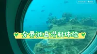 三亚分界洲岛潜艇体验