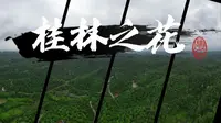 桂林之花