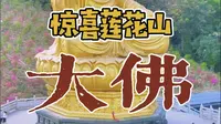 惊喜海丰莲花山
