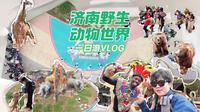 一日游济南野生动物世界，解锁春游动物园全攻略VILOG啦