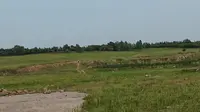 哈尔滨天恒山下坡