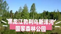 黑龙江勃利乌斯浑河国家森林公园：北国秘境，山水画卷