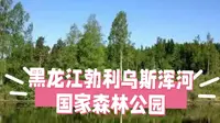黑龙江勃利乌斯浑河国家森林公园：北国秘境，山水画卷